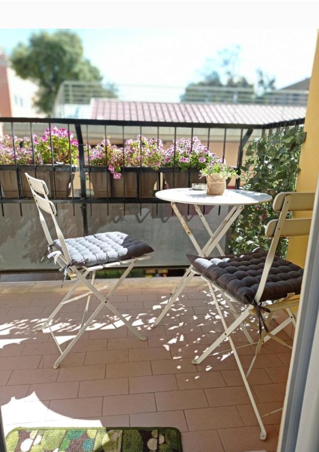 B&B La Palmetta Civitavecchia Eksteriør billede